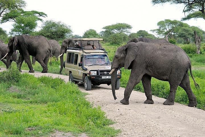 4x4 safari vehicle with elephants in Tarangire National Park